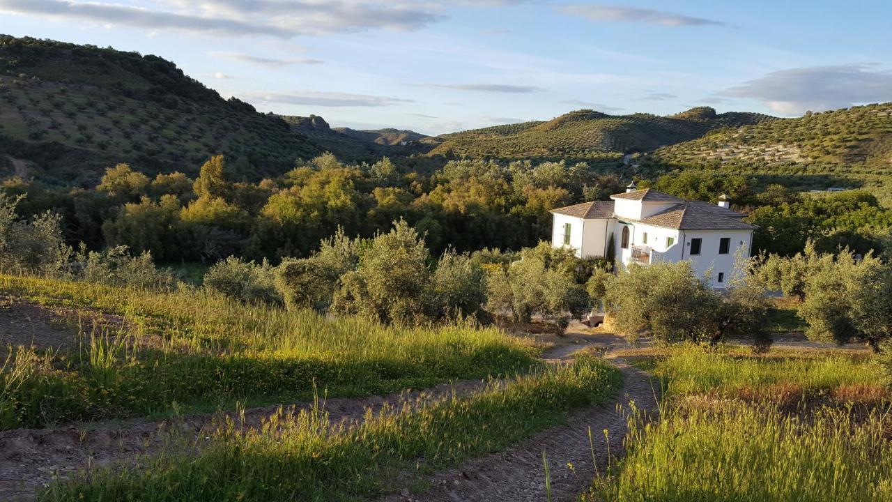 Casa Olea Bed & Breakfast Priego De Cordoba Exterior photo